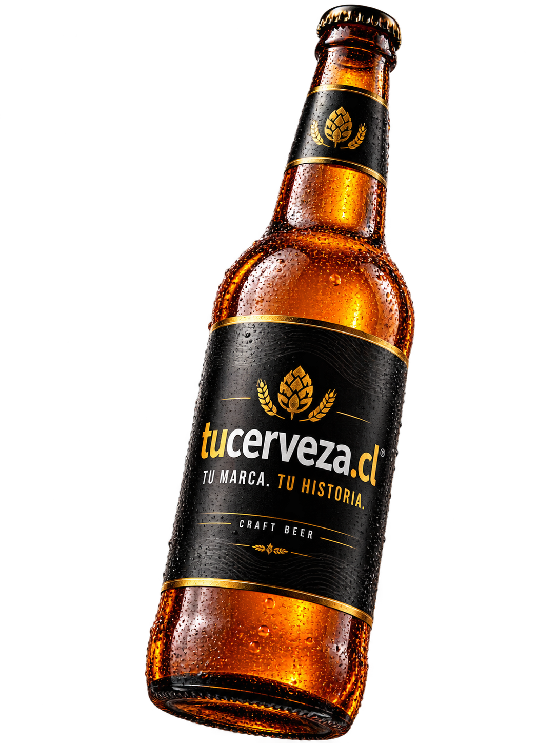 Botella premium tucerveza.cl