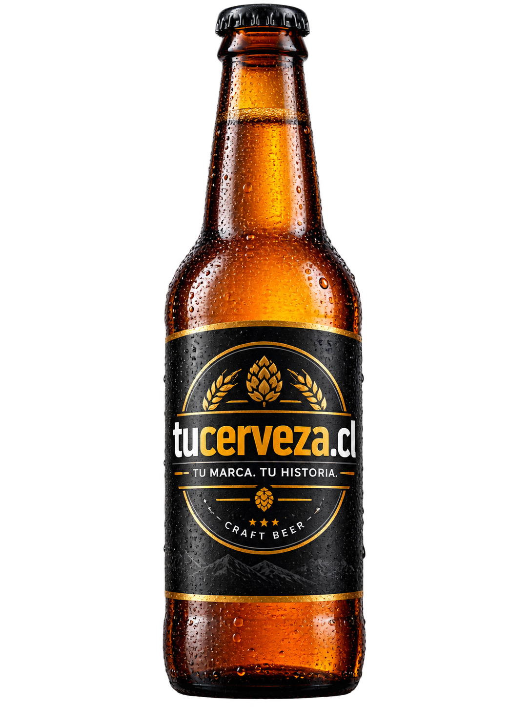 Pack de 25 botellas
